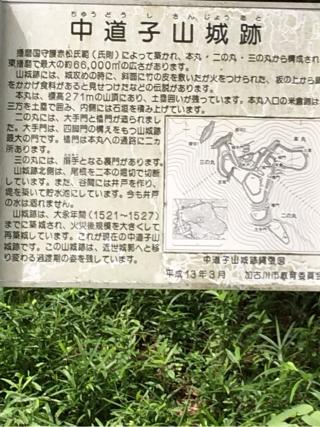 中道子山城の登城記録(虎さん)