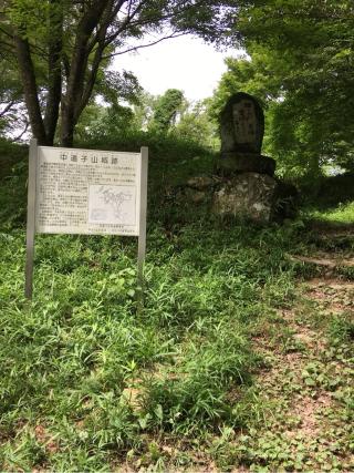 中道子山城の登城記録(虎さん)