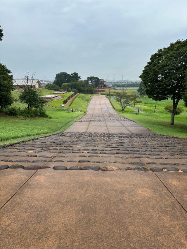 宮城県多賀城市市川 多賀城（多賀柵）の写真3