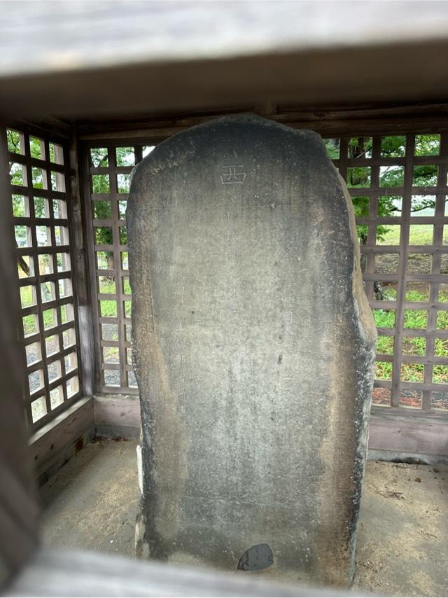 宮城県多賀城市市川 多賀城（多賀柵）の写真4