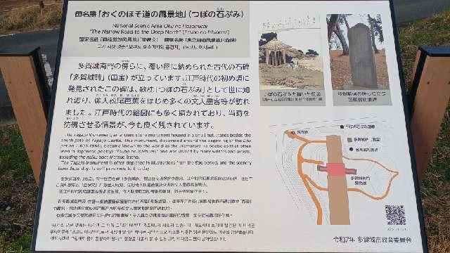 宮城県多賀城市市川 多賀城（多賀柵）の写真6