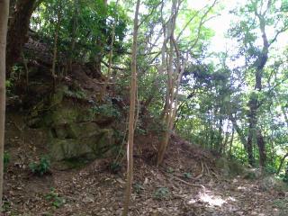 信貴山城の登城記録(ミッチーさん)