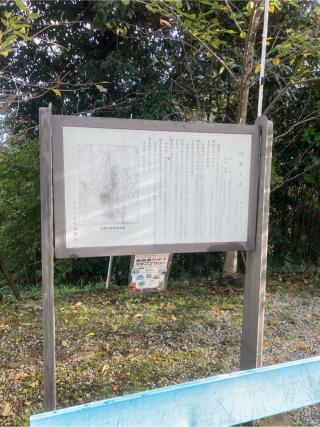 信貴山城の登城記録(むらくんさん)