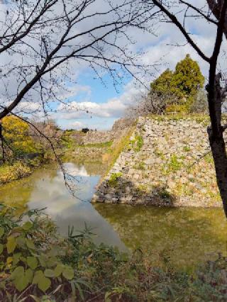 郡山城の登城記録(ゴン太さん)