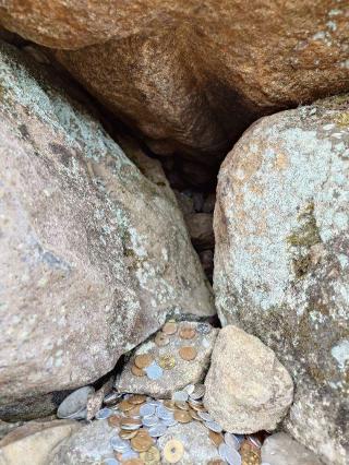 郡山城の登城記録(本多百助さん)