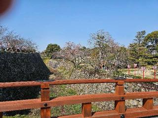 郡山城の登城記録(秀さん)