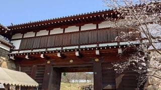 郡山城の登城記録(アリケンさん)