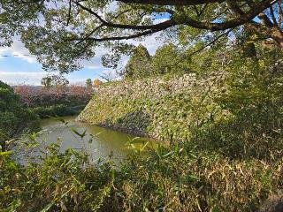 郡山城の登城記録(あさん)