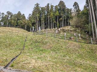 宇陀松山城の登城記録(泰成さん)