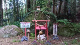 金山城の登城記録(ひろ神社仏閣さん)