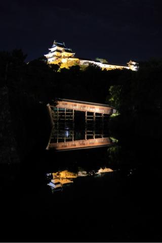 和歌山城の登城記録(こにーさん)