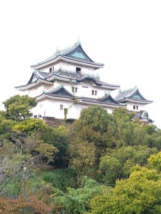 和歌山城の登城記録(shunさん)