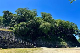 和歌山城の登城記録(Chineさん)