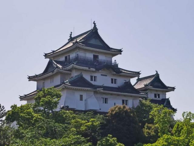 和歌山城の写真1