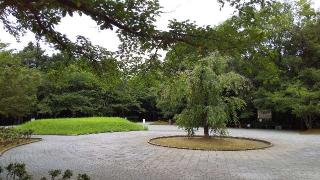 猿岡山城の登城記録(ひろ神社仏閣さん)