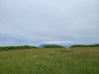 志苔館の登城記録(まつさん)