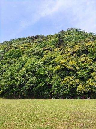 鳥取城の登城記録(マリリさん)