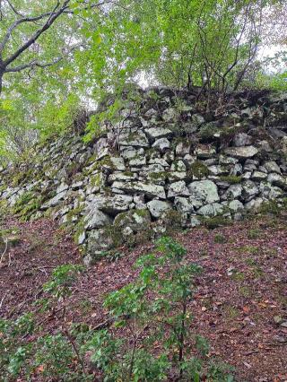 若桜鬼ヶ城の登城記録(jinさん)