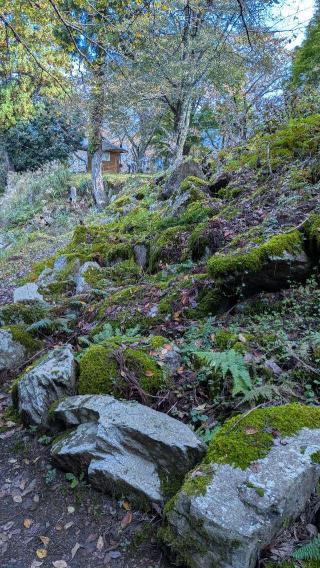 若桜鬼ヶ城の登城記録(ニャン川さん)