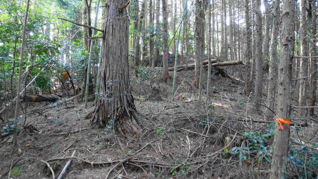 香音寺城の写真1