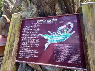 羽衣石城の登城記録(タケローさん)