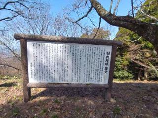 羽衣石城の登城記録(タケローさん)