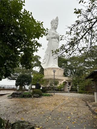 船岡城の登城記録(清正さん)