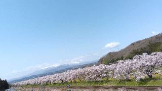 船岡城の登城記録(ひろ神社仏閣さん)