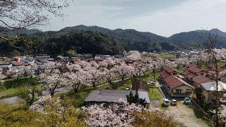 法勝寺城の登城記録(伯州さん)