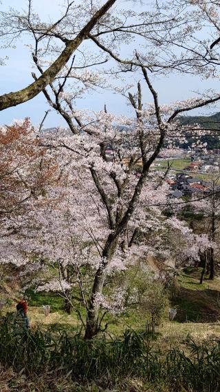 法勝寺城の登城記録(伯州さん)