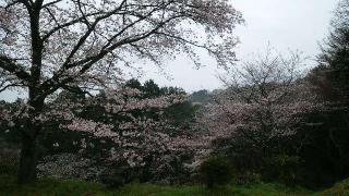 月山富田城の登城記録(アリケンさん)