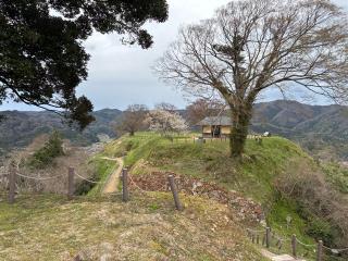 月山富田城（富田城、月山城）の登城記録(ごまカンパチさん)