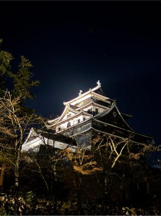 松江城の登城記録(まるまるさん)