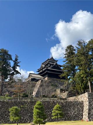 松江城の登城記録(まるまるさん)