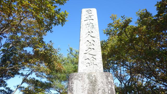 真山城(新山城)の写真1