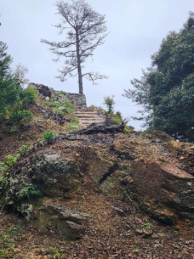 島根県鹿足郡津和野町後田 津和野城の写真17