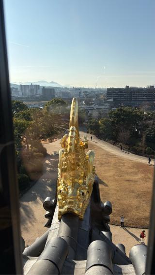 岡山城の登城記録(みねさん)