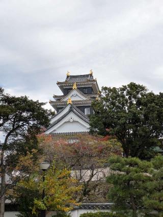 岡山城の登城記録(ポッキーさん)