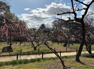 岡山城の登城記録(SAMIKAさん)