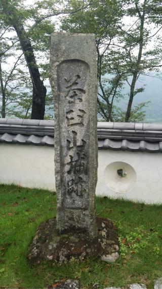 周匝茶臼山城の登城記録(トシさん)