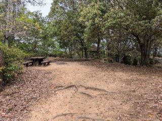 明善寺城の登城記録(千　百万さん)