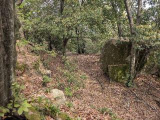 明善寺城の登城記録(千　百万さん)