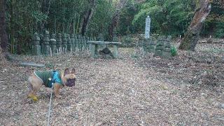 常山城の登城記録(md9fb0さん)