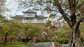 津山城の登城記録(熱気バサラさん)