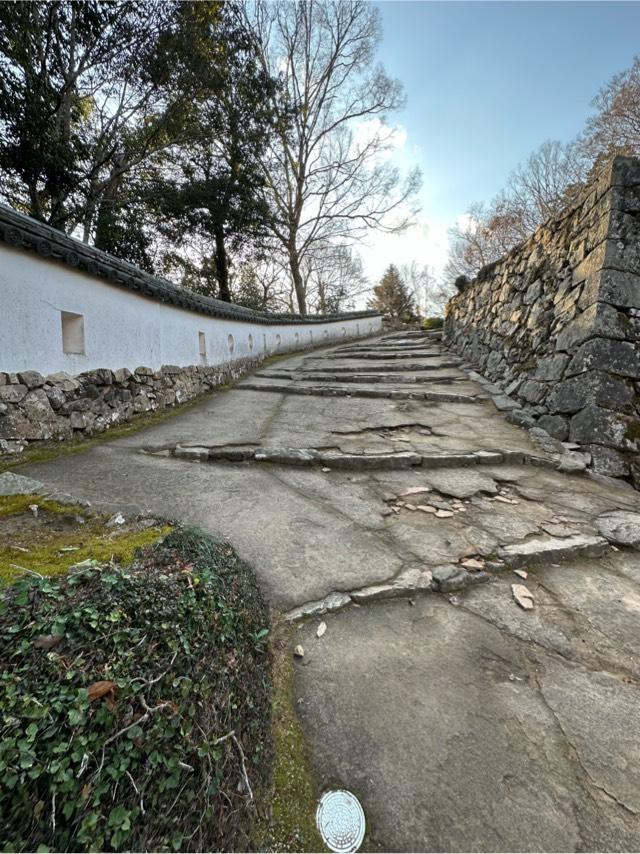 岡山県高梁市内山下１ 備中松山城の写真4
