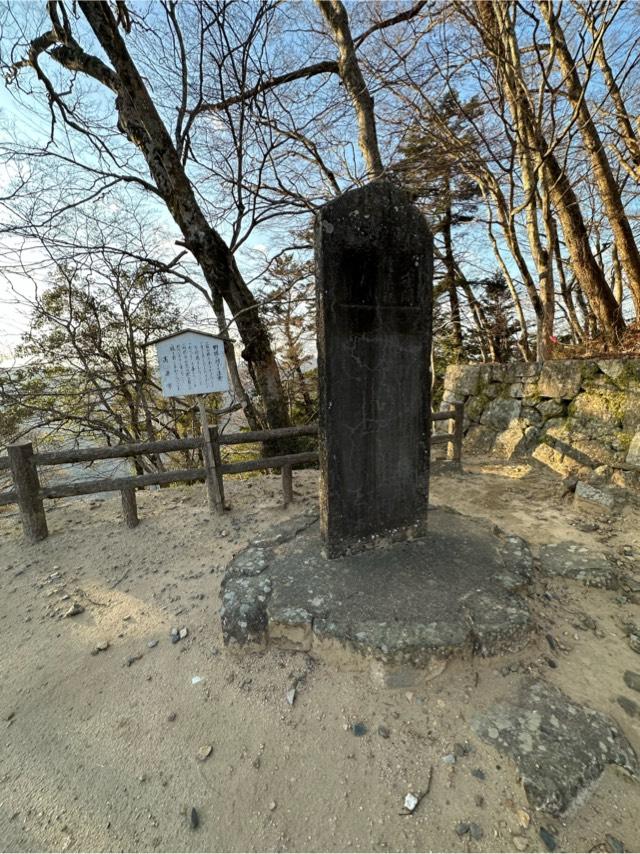 岡山県高梁市内山下１ 備中松山城の写真5