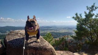 鬼ノ城の登城記録(md9fb0さん)