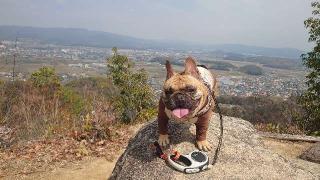 幸山城の登城記録(md9fb0さん)