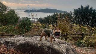 下津井城の登城記録(md9fb0さん)