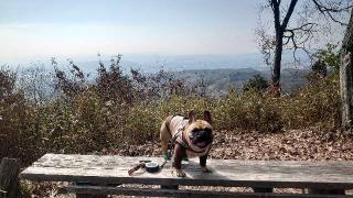 福山城の登城記録(md9fb0さん)